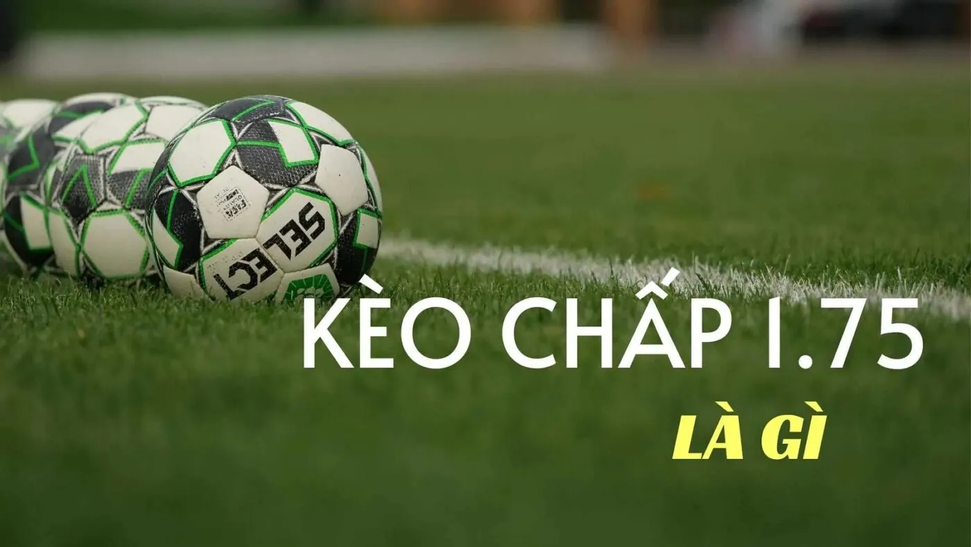 kèo chấp 1.75 là gì